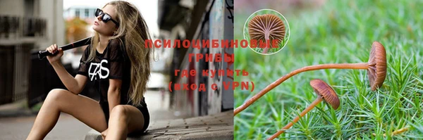 трава Алзамай