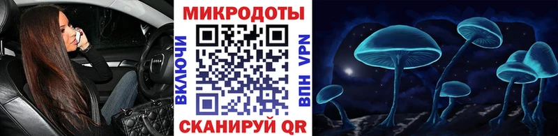 Галлюциногенные грибы Psilocybine cubensis Апрелевка