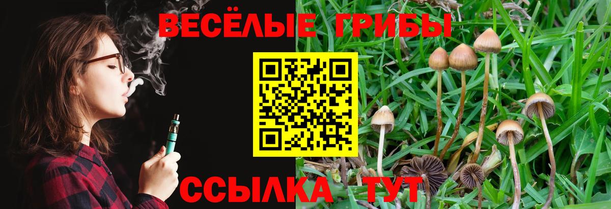 Псилоцибиновые грибы Magic Shrooms Апрелевка